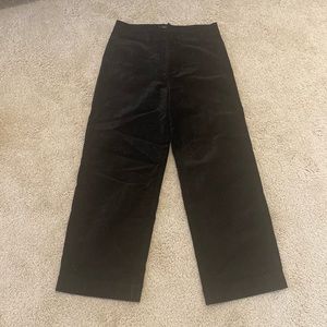 Paige velvet Wide leg pants